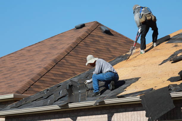 Best Steel Roofing  in Boiling Spring Lakes, NC