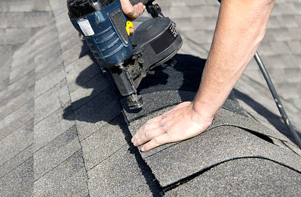 Best Roof Moss and Algae Removal  in Boiling Spring Lakes, NC